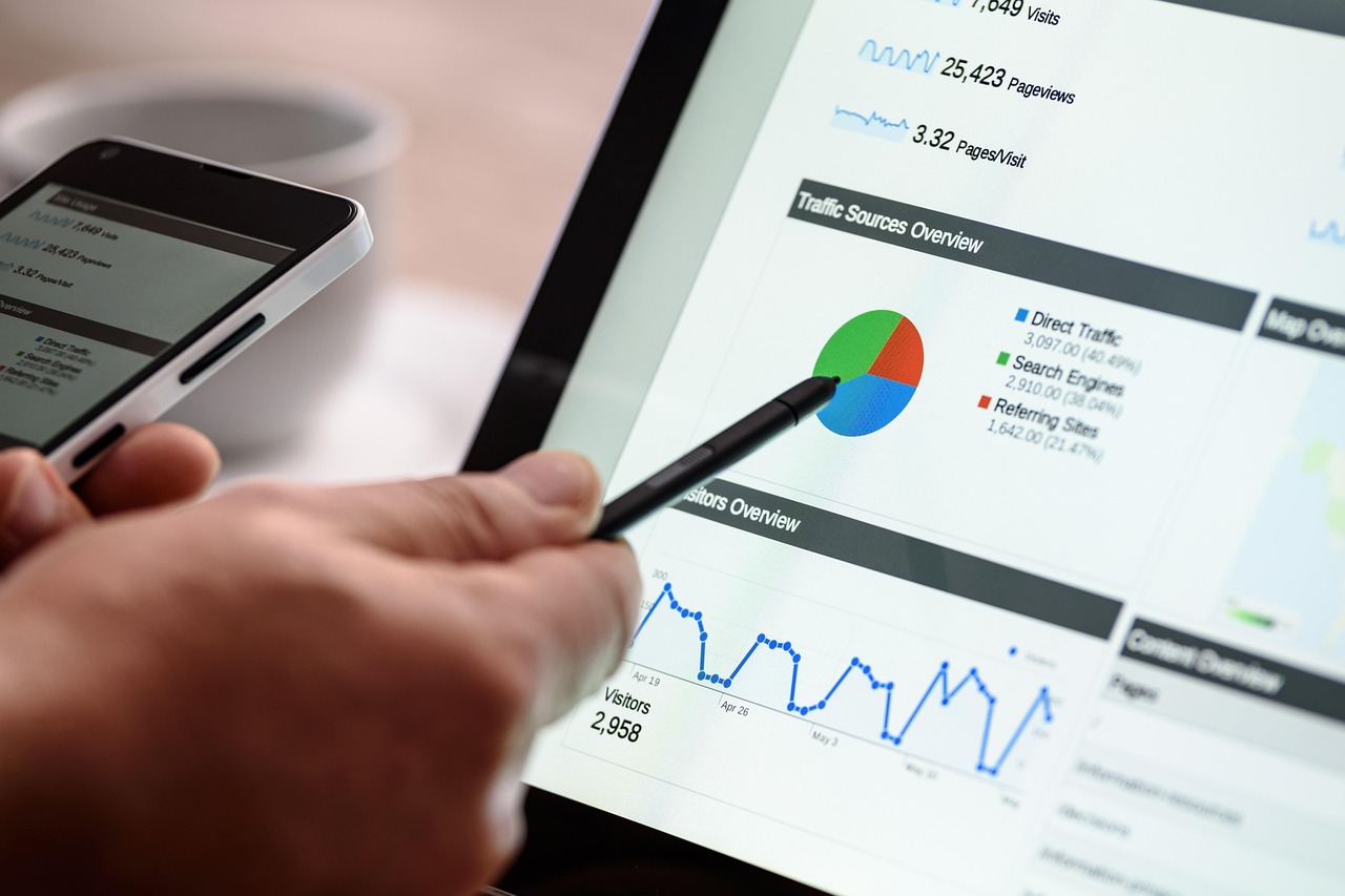 SEO auditas